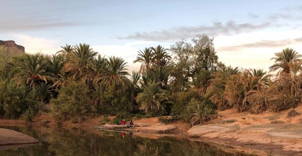 The Mezquita Oasis in the Draa Valley, Morocco © Lisa Bossenbroek and Zakaria Kadiri